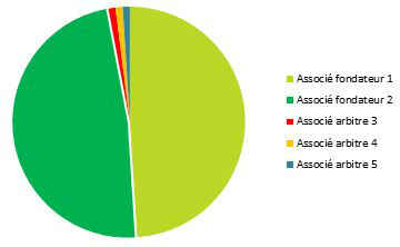 Pie Chart r&eacute;partition in&eacute;galitaire du capital social