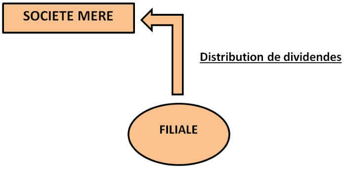 Holding et distribution de divifdendes