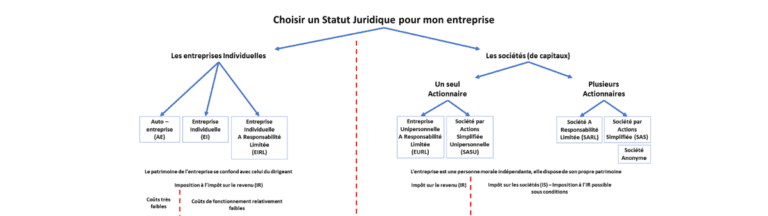 le choix du statut juridique