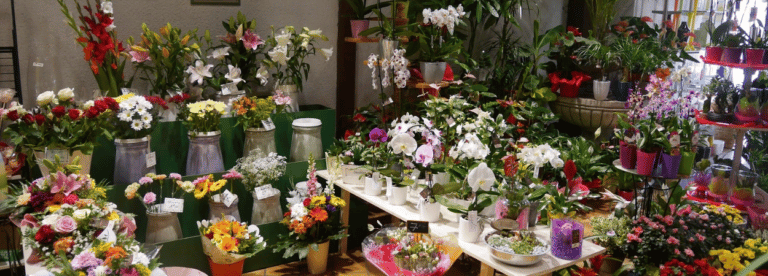 réaliser le business plan d'un magasin de fleurs