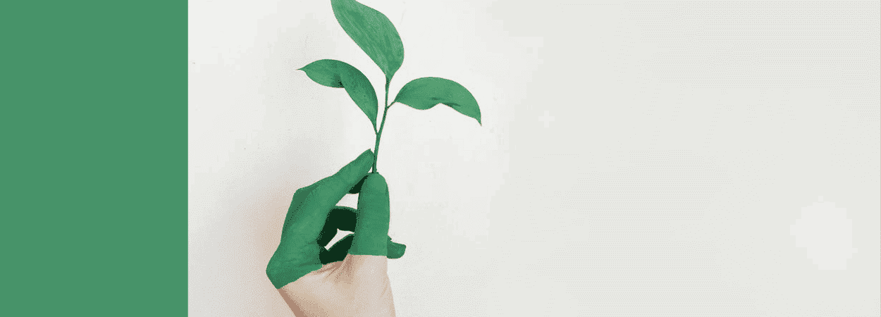 développement durable RSE entreprise