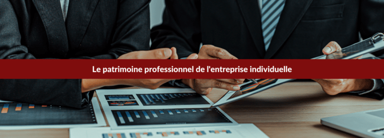 patrimoine professionnel entreprise individuelle