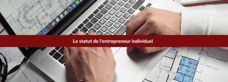 entrepreneur individuel