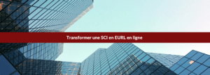 Transformer SCI en EURL en ligne