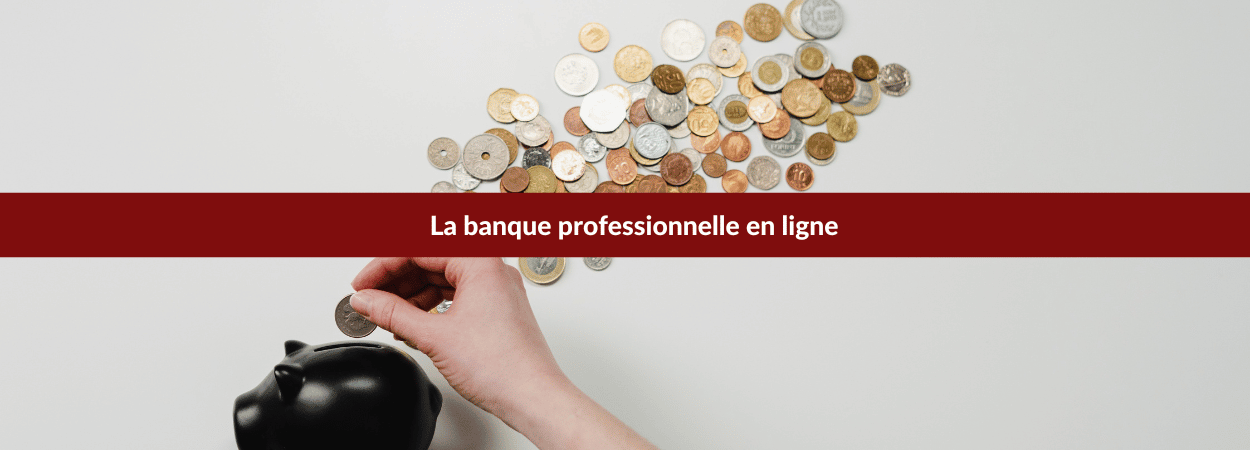 la banque pro en ligne