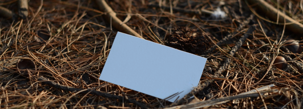 carte visite écologique