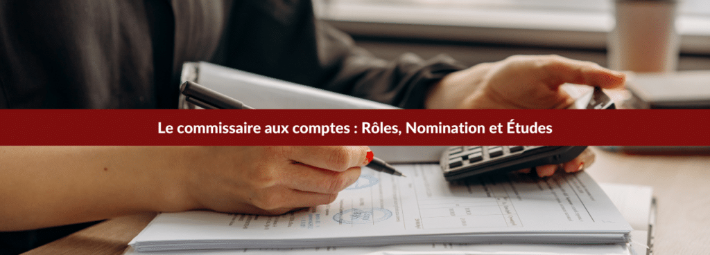 commissaire aux comptes