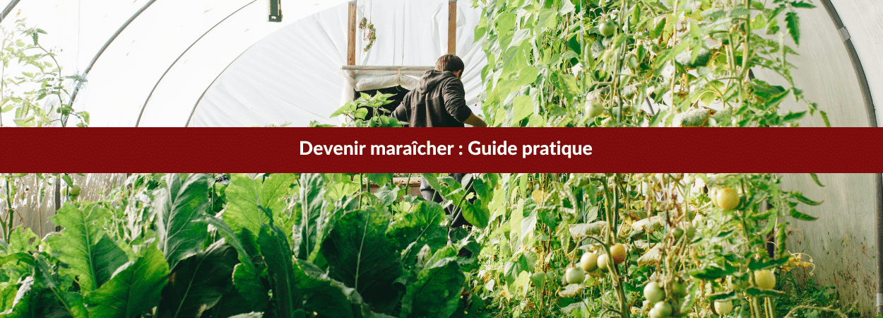 devenir maraîcher