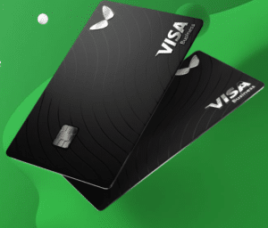 Comment utiliser les cartes bancaires Visa Wallester sur Le Blog Dirigeant