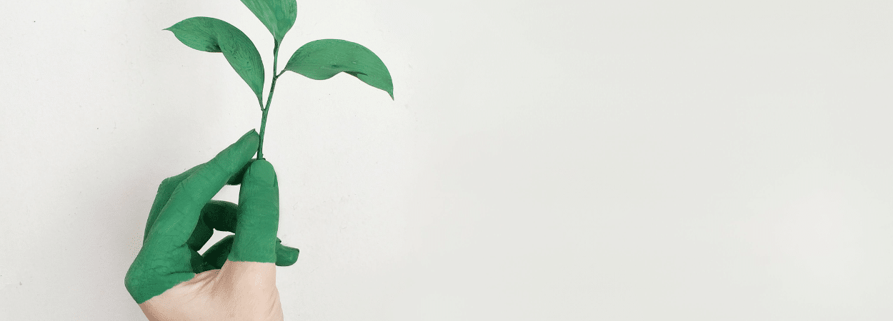 développement durable entreprise