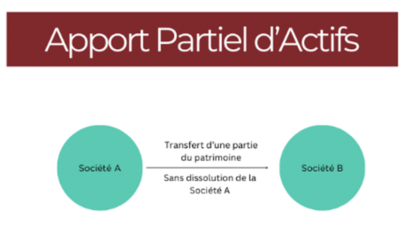 l'apport partiel d'actifs
