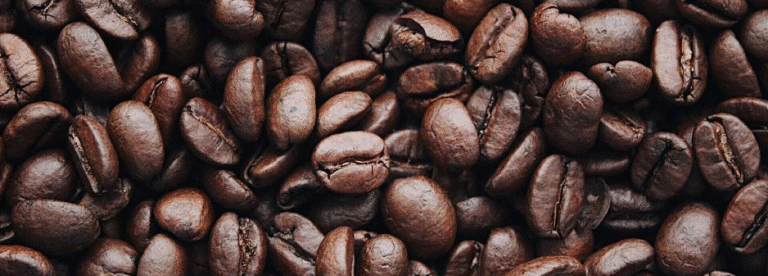 coffee shop franchise