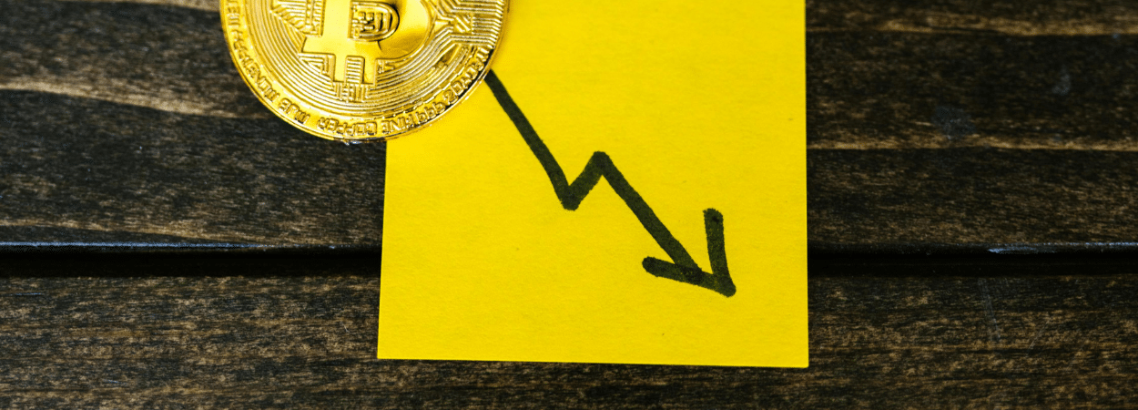 durée de vie des entreprises baisse