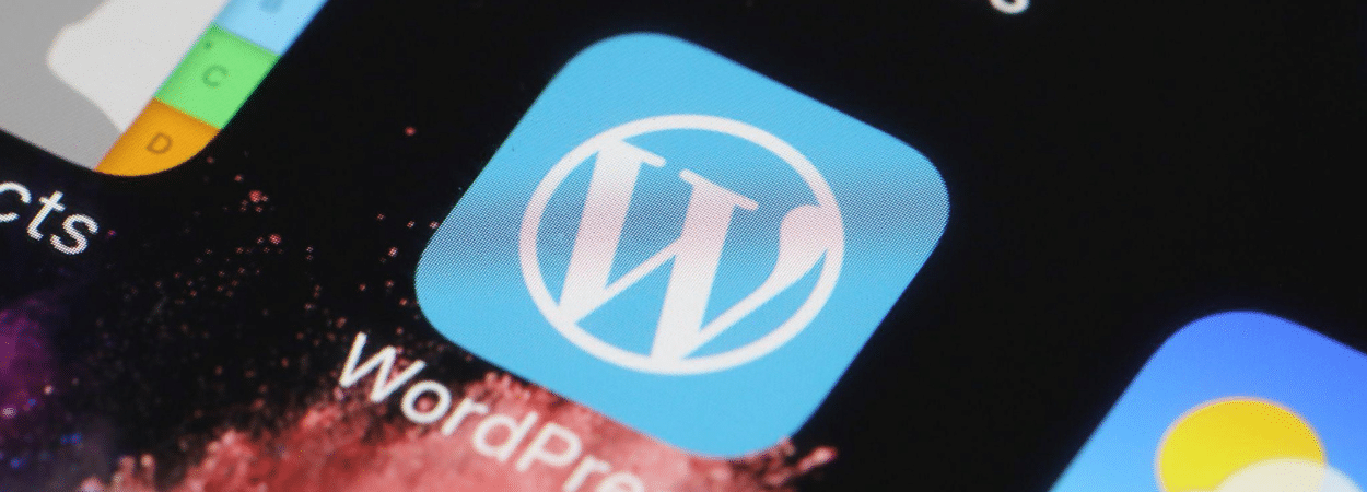 webflow ou wordpress