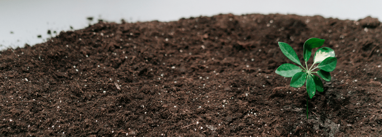 réduire empreinte carbone administrative entreprise