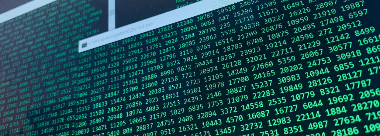 Les cybermenaces peuvent paralyser les nouvelles entreprises